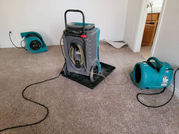 Best Emergency water damage restoration  in Delta Junction, AK
