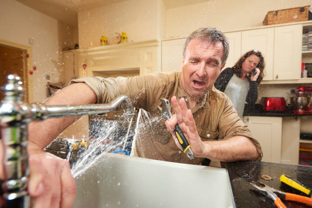 Best Flood restoration services  in Delta Junction, AK